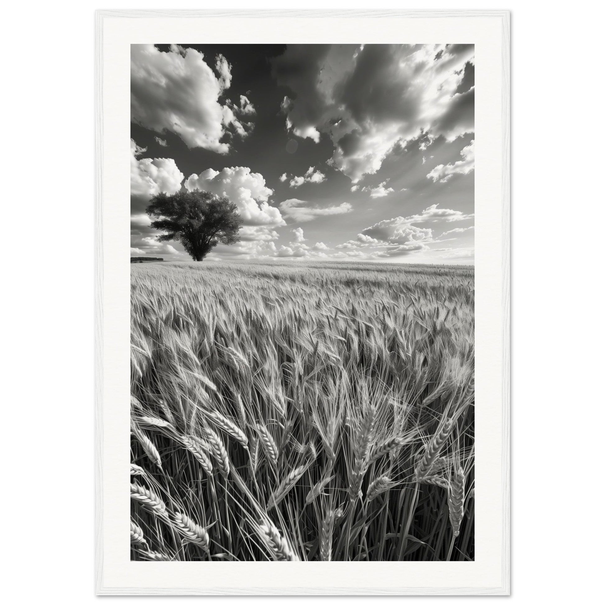 Poster Nature Noir et Blanc ( 70x100-cm-Bois-blanc)