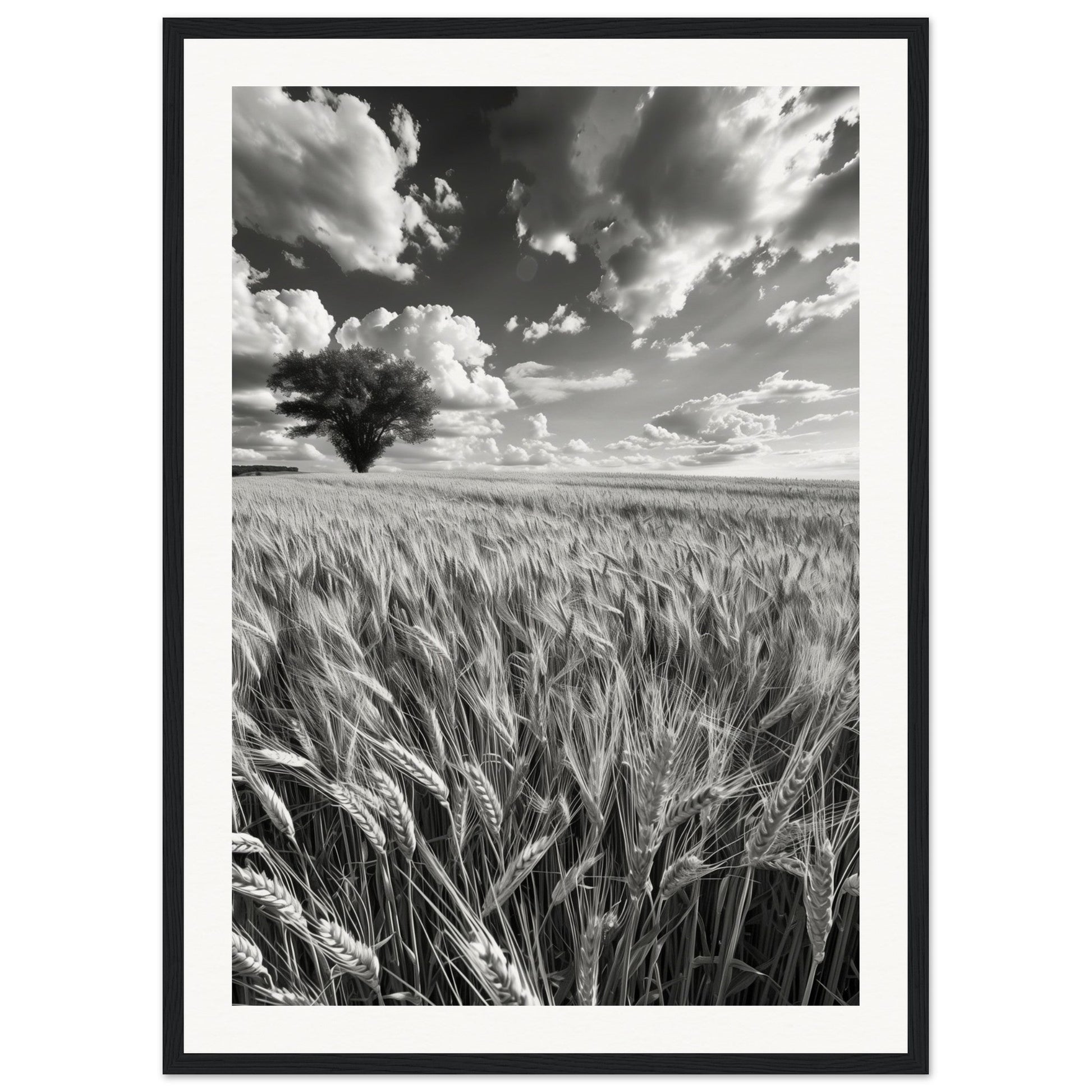 Poster Nature Noir et Blanc ( 50x70-cm-Bois-noir)