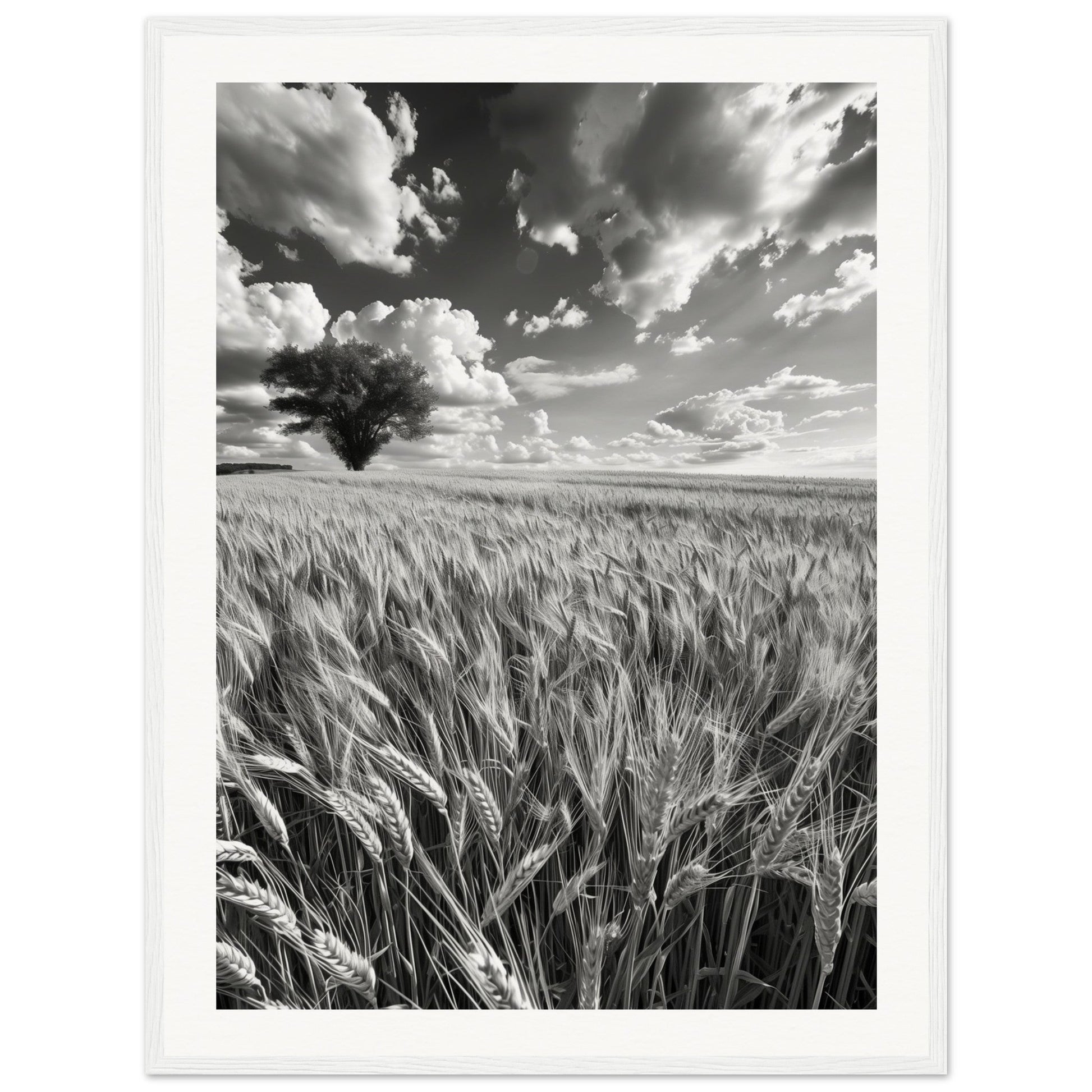 Poster Nature Noir et Blanc ( 60x80-cm-Bois-blanc)