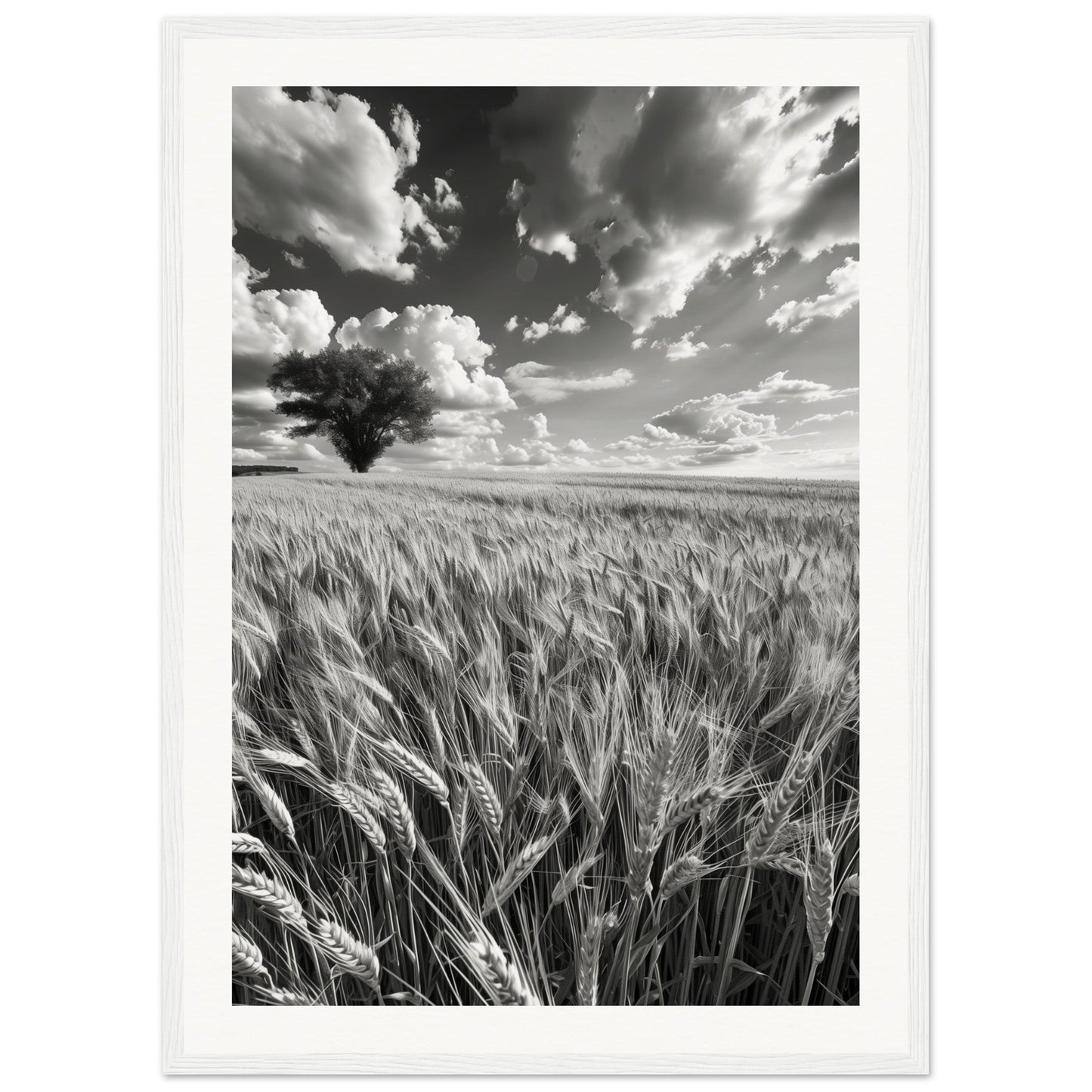 Poster Nature Noir et Blanc ( 50x70-cm-Bois-blanc)