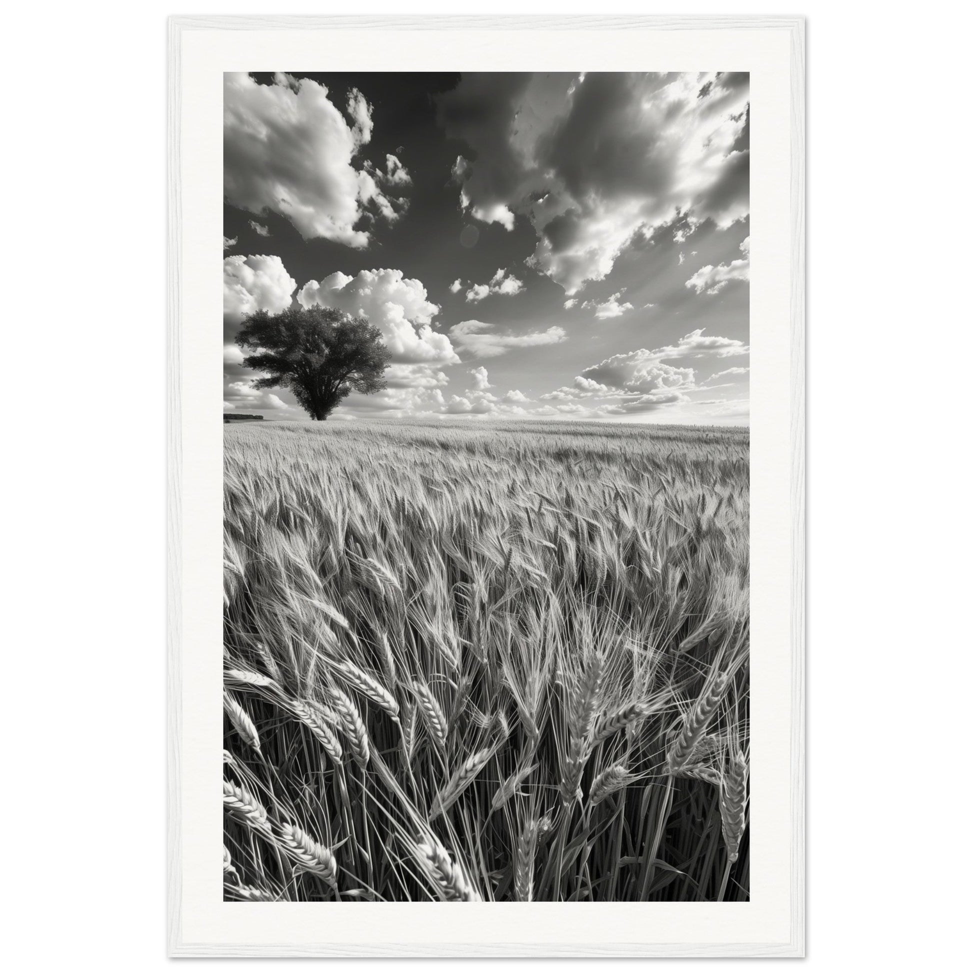 Poster Nature Noir et Blanc ( 60x90-cm-Bois-blanc)