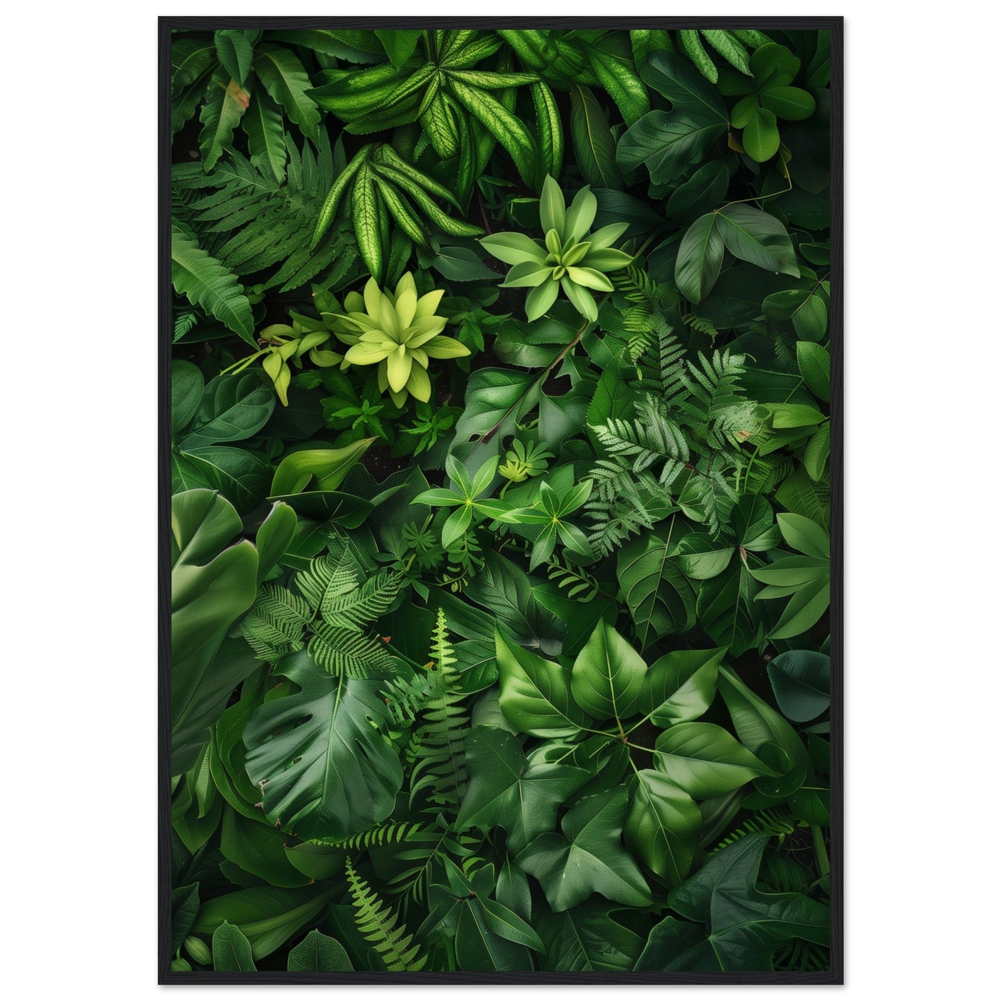 Poster Nature Verte ( 70x100-cm-Bois-noir)