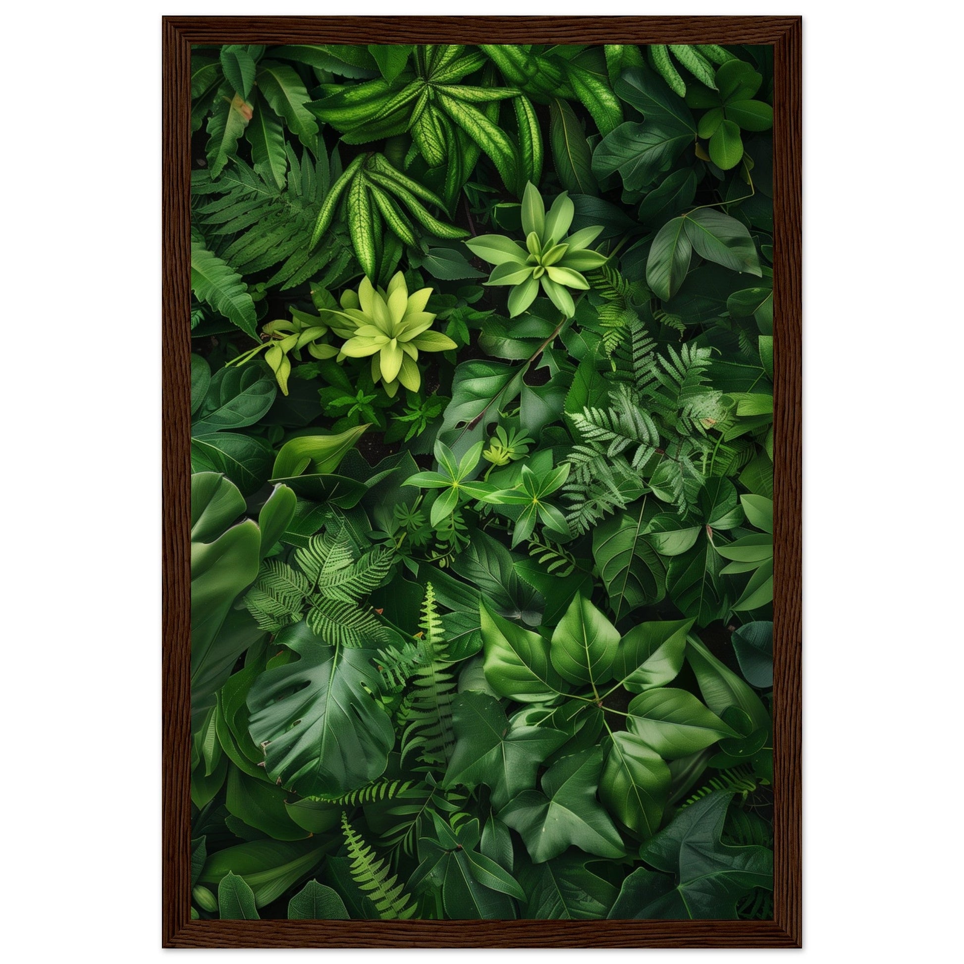 Poster Nature Verte ( 30x45-cm-Bois-foncé)