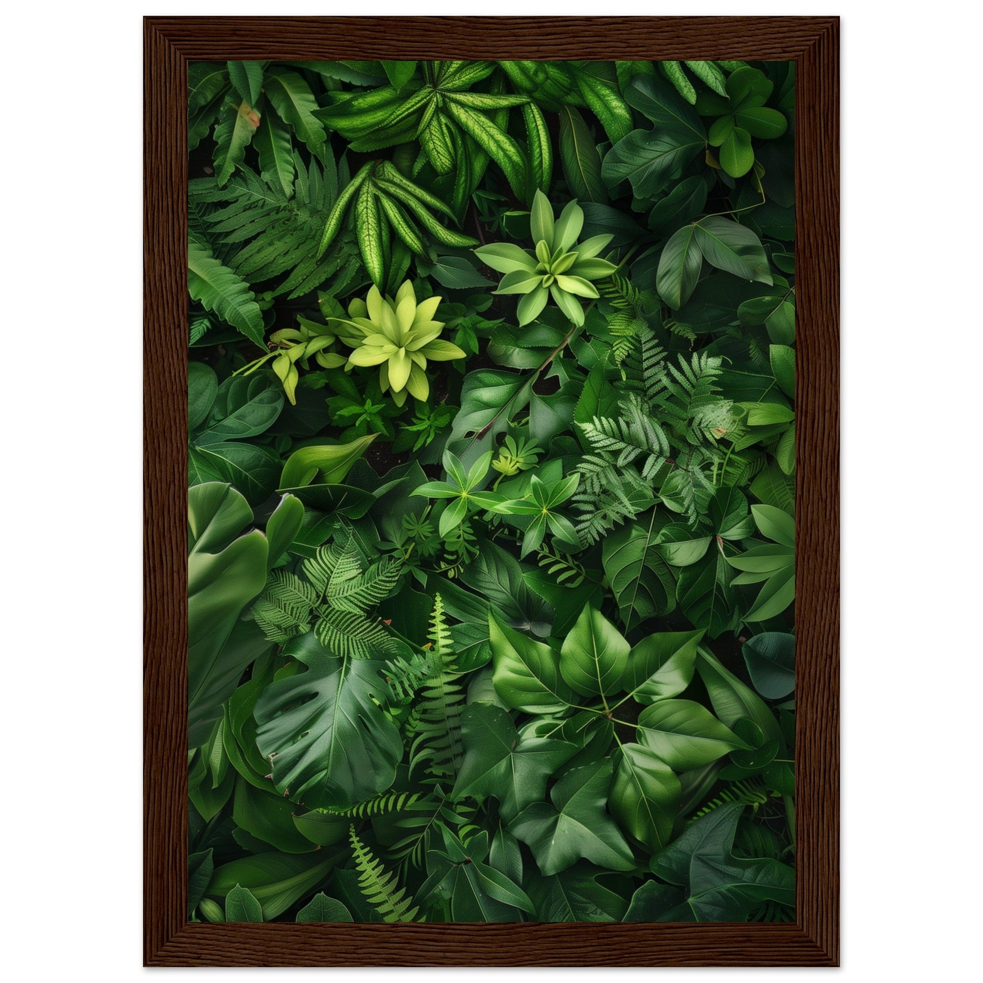 Poster Nature Verte ( 21x29.7-cm-Bois-foncé)