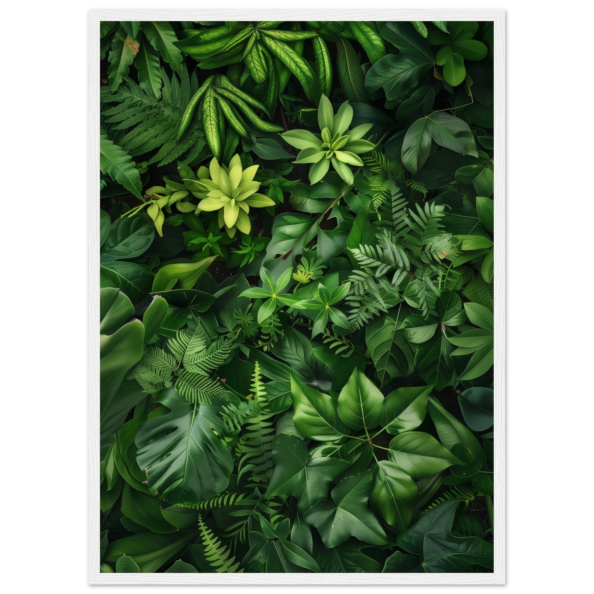 Poster Nature Verte ( 50x70-cm-Bois-blanc)