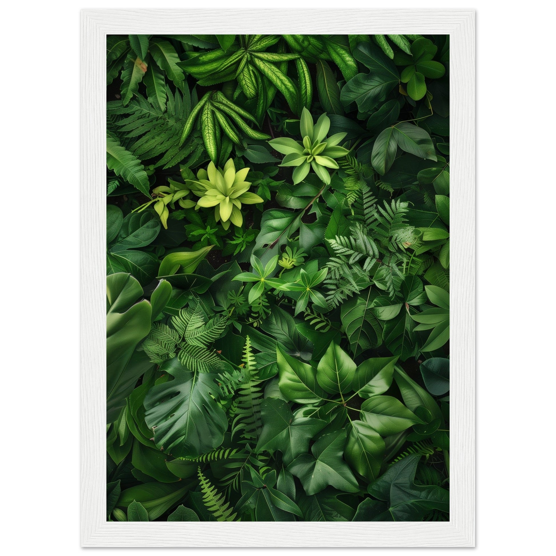 Poster Nature Verte ( 21x29.7-cm-Bois-blanc)