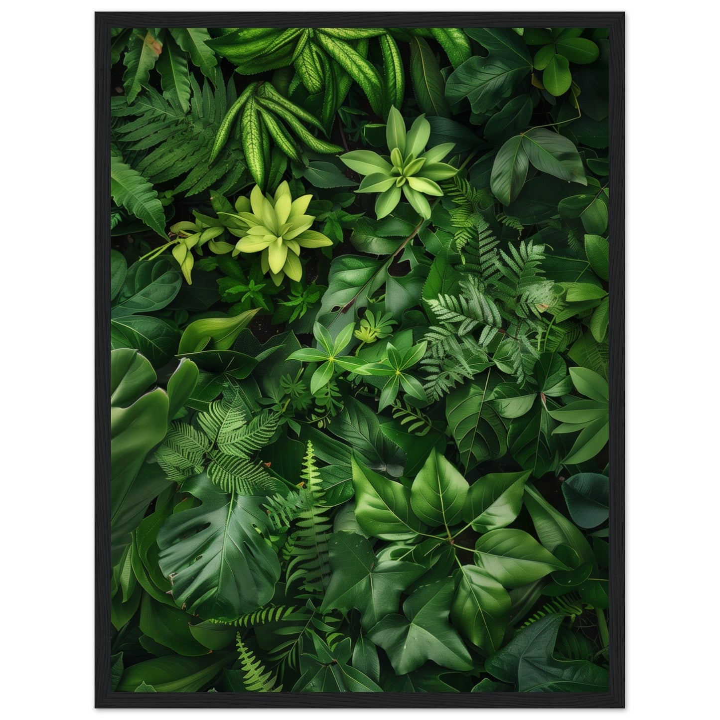 Poster Nature Verte ( 45x60-cm-Bois-noir)