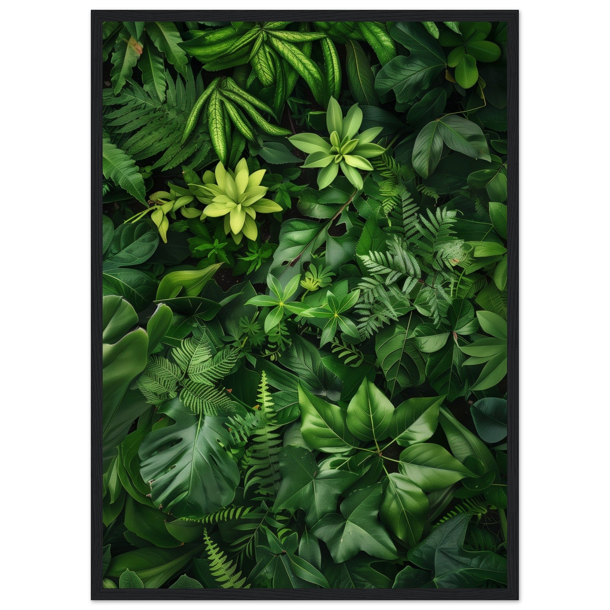 Poster Nature Verte ( 50x70-cm-Bois-noir)