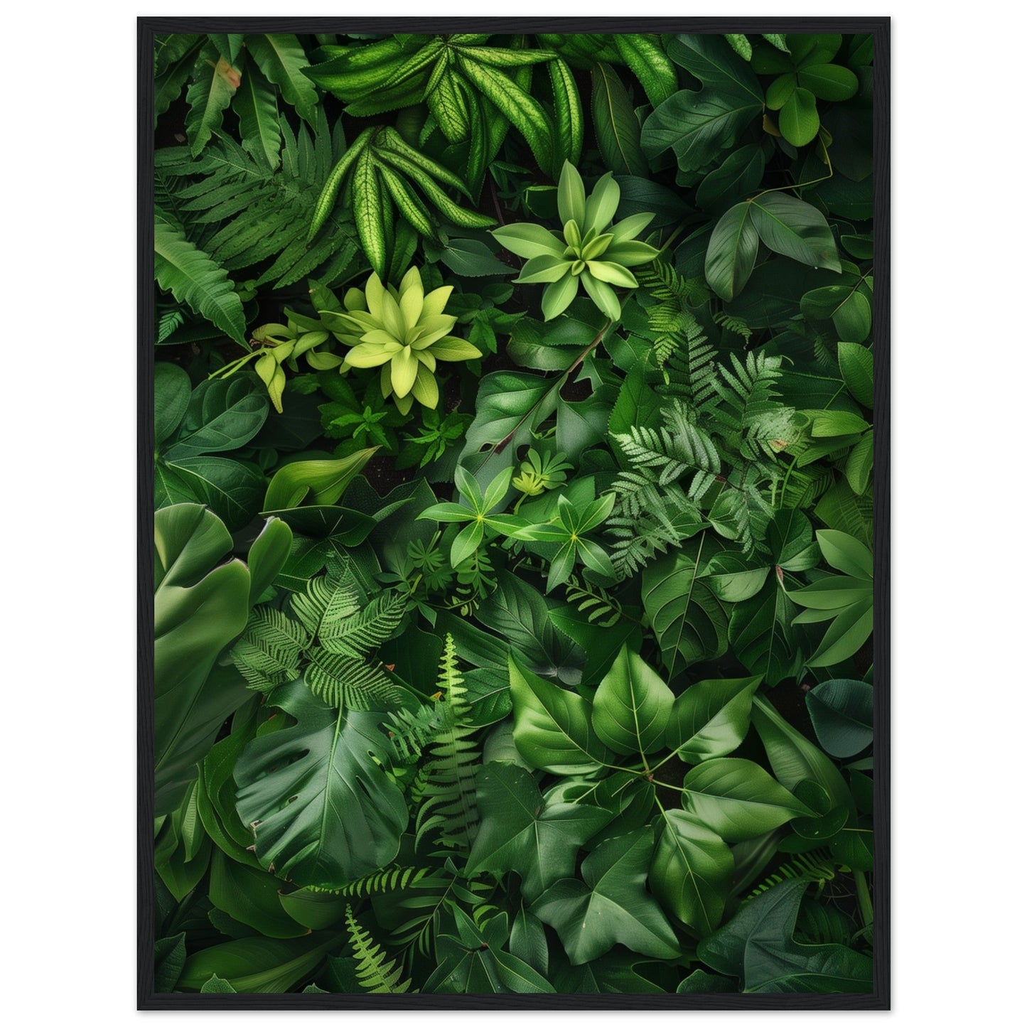 Poster Nature Verte ( 60x80-cm-Bois-noir)