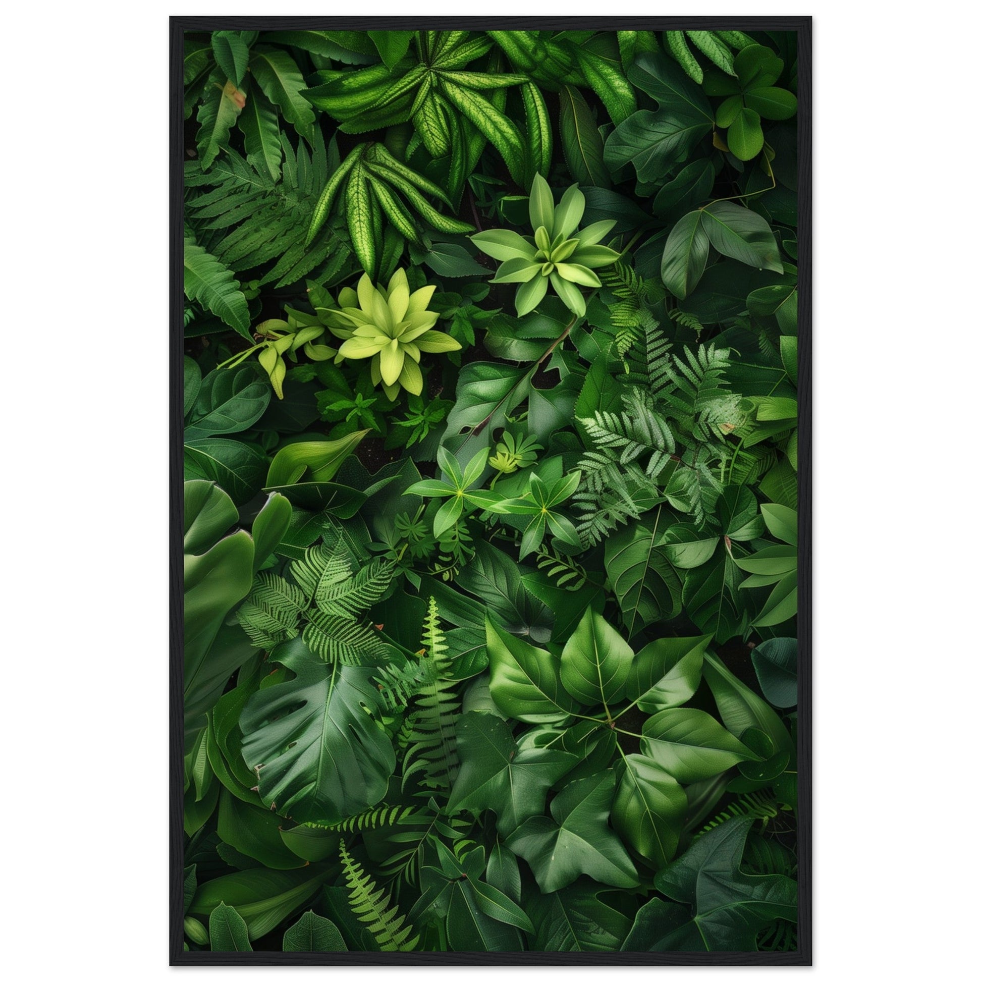 Poster Nature Verte ( 60x90-cm-Bois-noir)