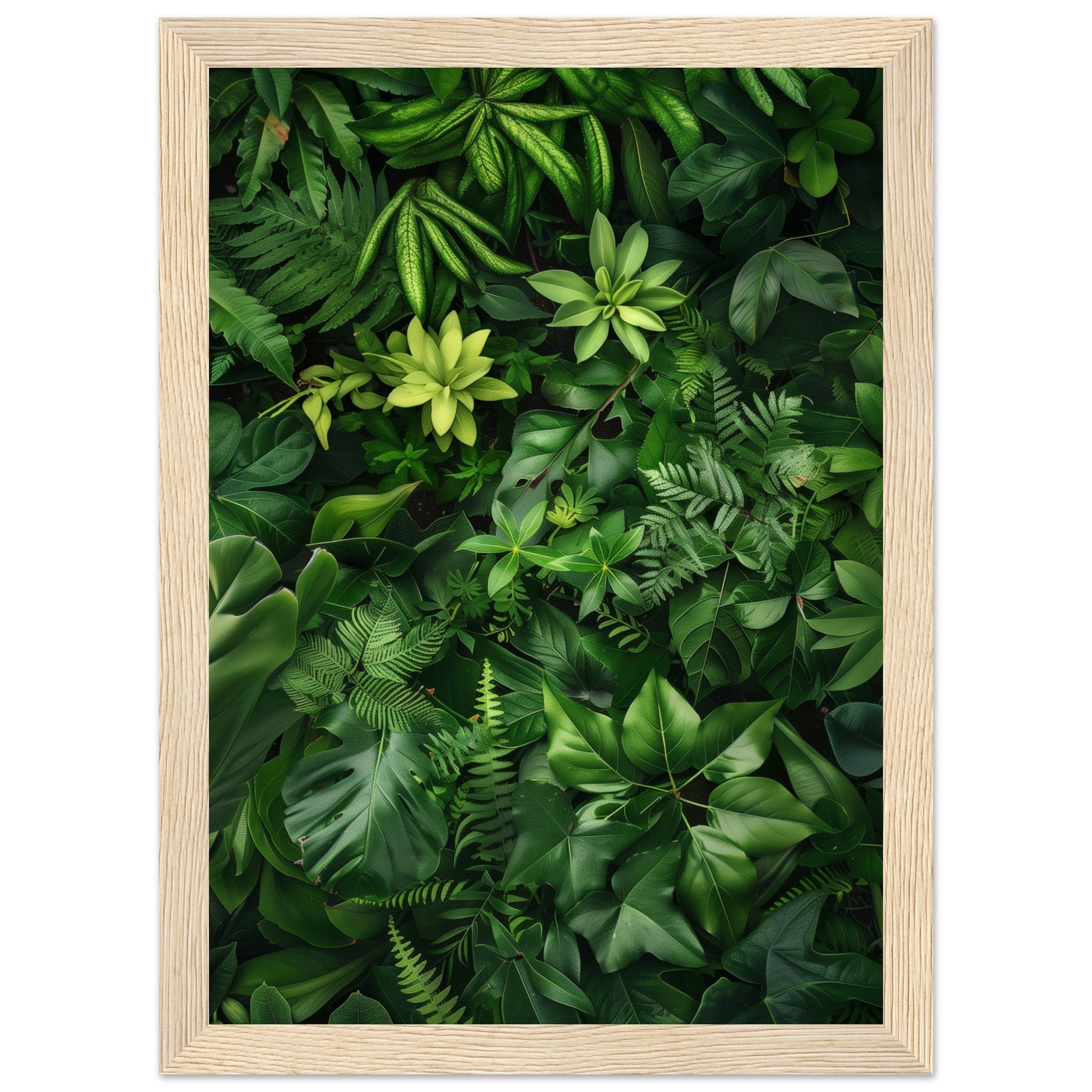 Poster Nature Verte ( 21x29.7-cm-Bois-clair)