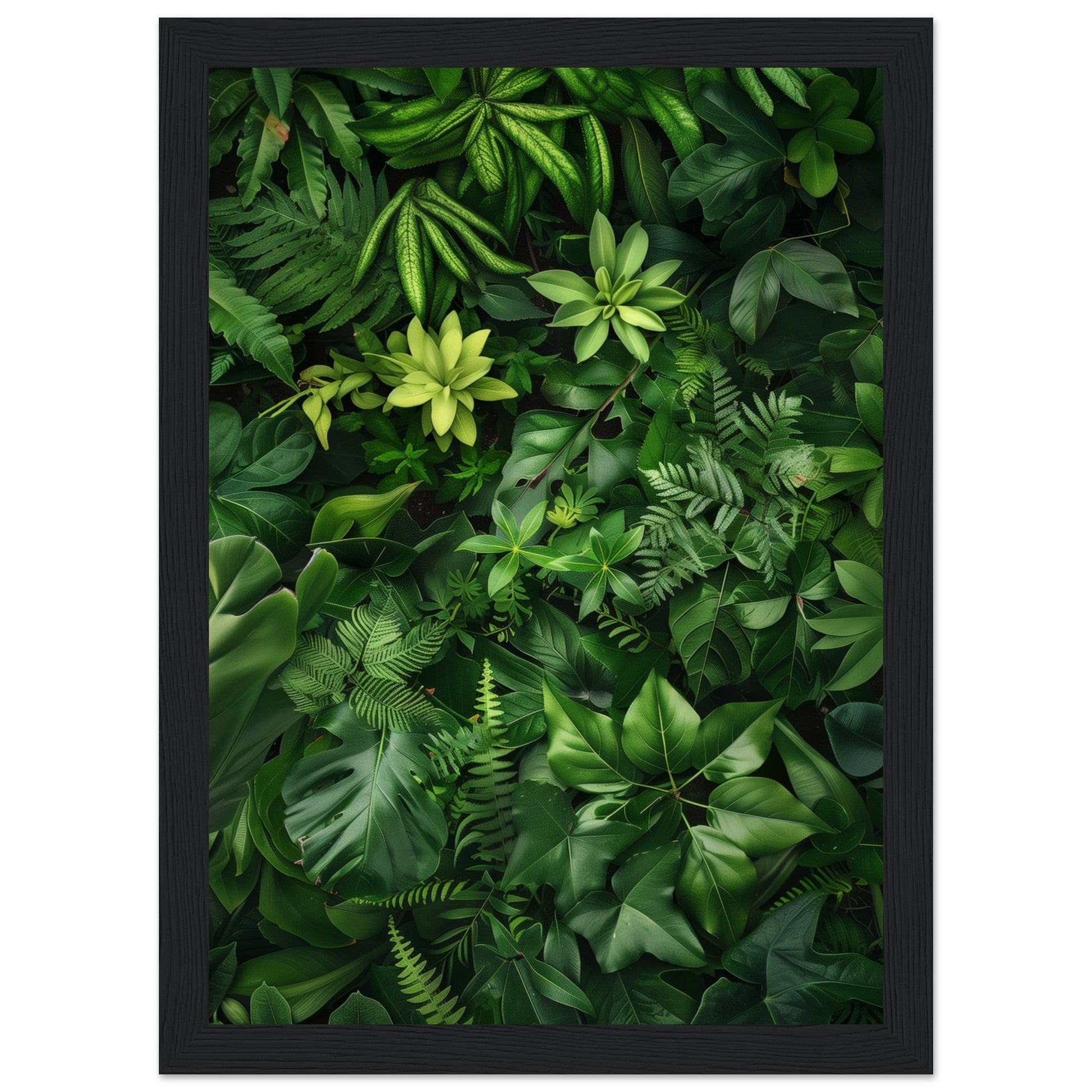 Poster Nature Verte ( 21x29.7-cm-Bois-noir)