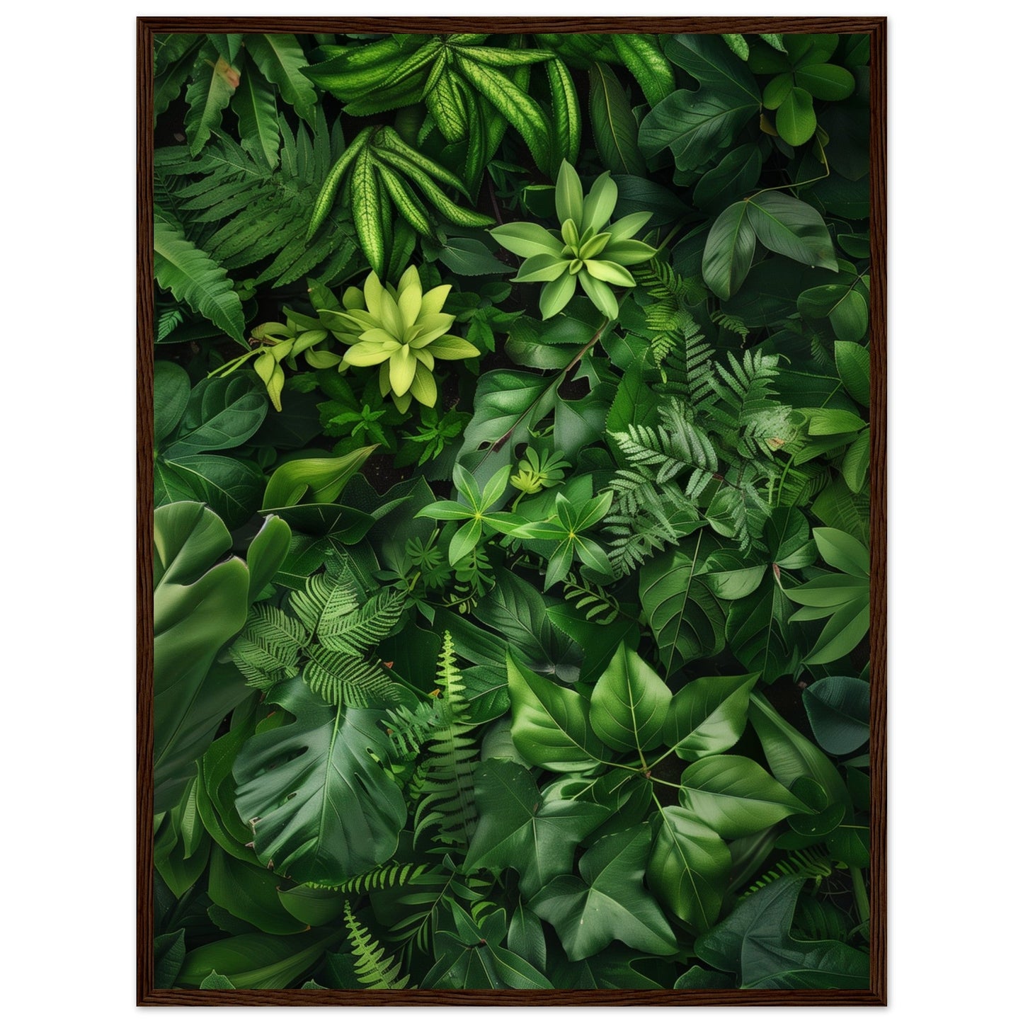 Poster Nature Verte ( 60x80-cm-Bois-foncé)