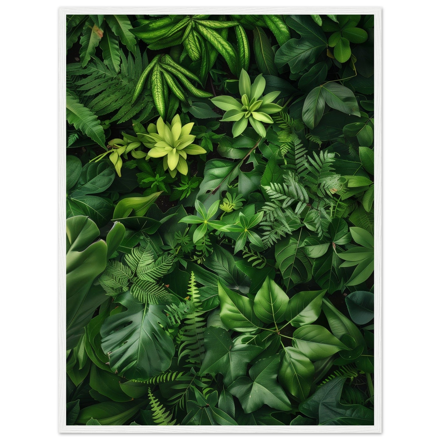 Poster Nature Verte ( 60x80-cm-Bois-blanc)