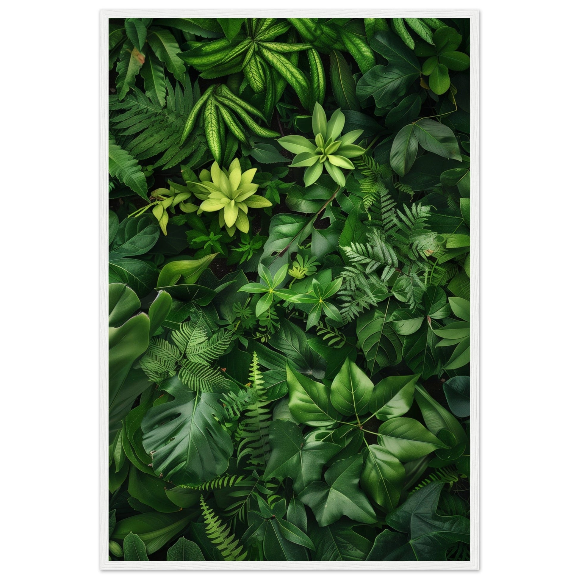 Poster Nature Verte ( 60x90-cm-Bois-blanc)