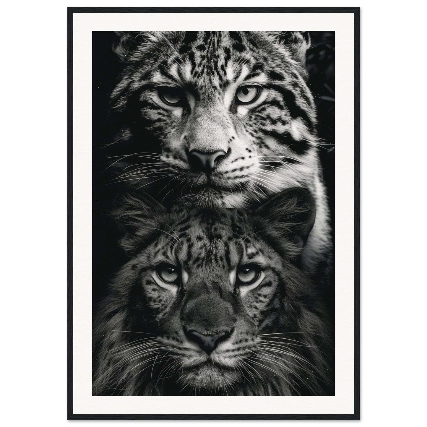 Poster Noir et Blanc Animaux ( 70x100-cm-Bois-noir)