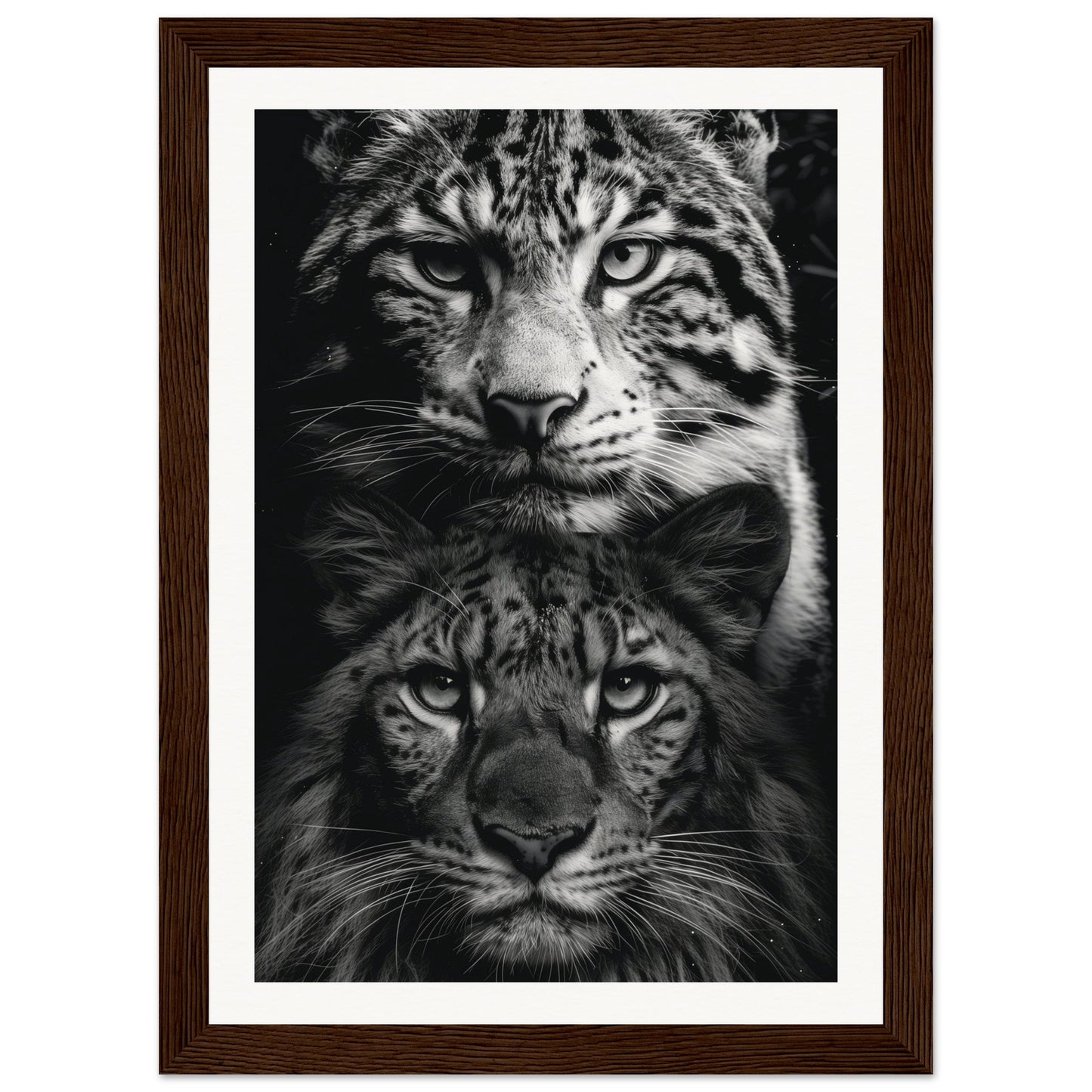 Poster Noir et Blanc Animaux ( 21x29.7-cm-Bois-foncé)