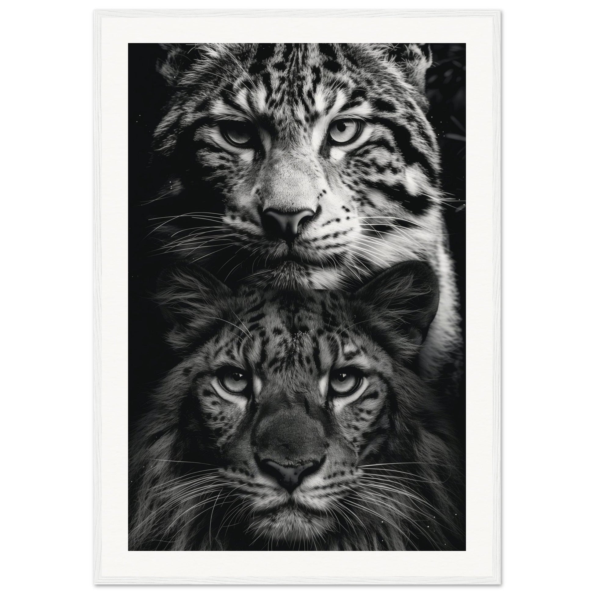 Poster Noir et Blanc Animaux ( 70x100-cm-Bois-blanc)