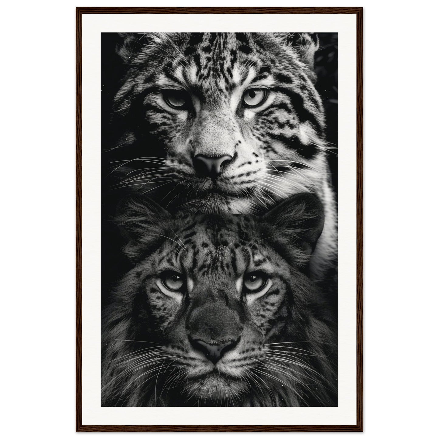 Poster Noir et Blanc Animaux ( 60x90-cm-Bois-foncé)