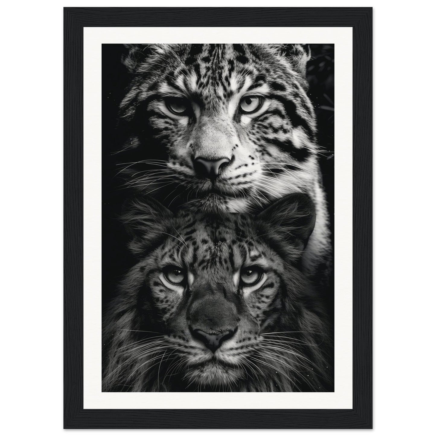 Poster Noir et Blanc Animaux ( 21x29.7-cm-Bois-noir)