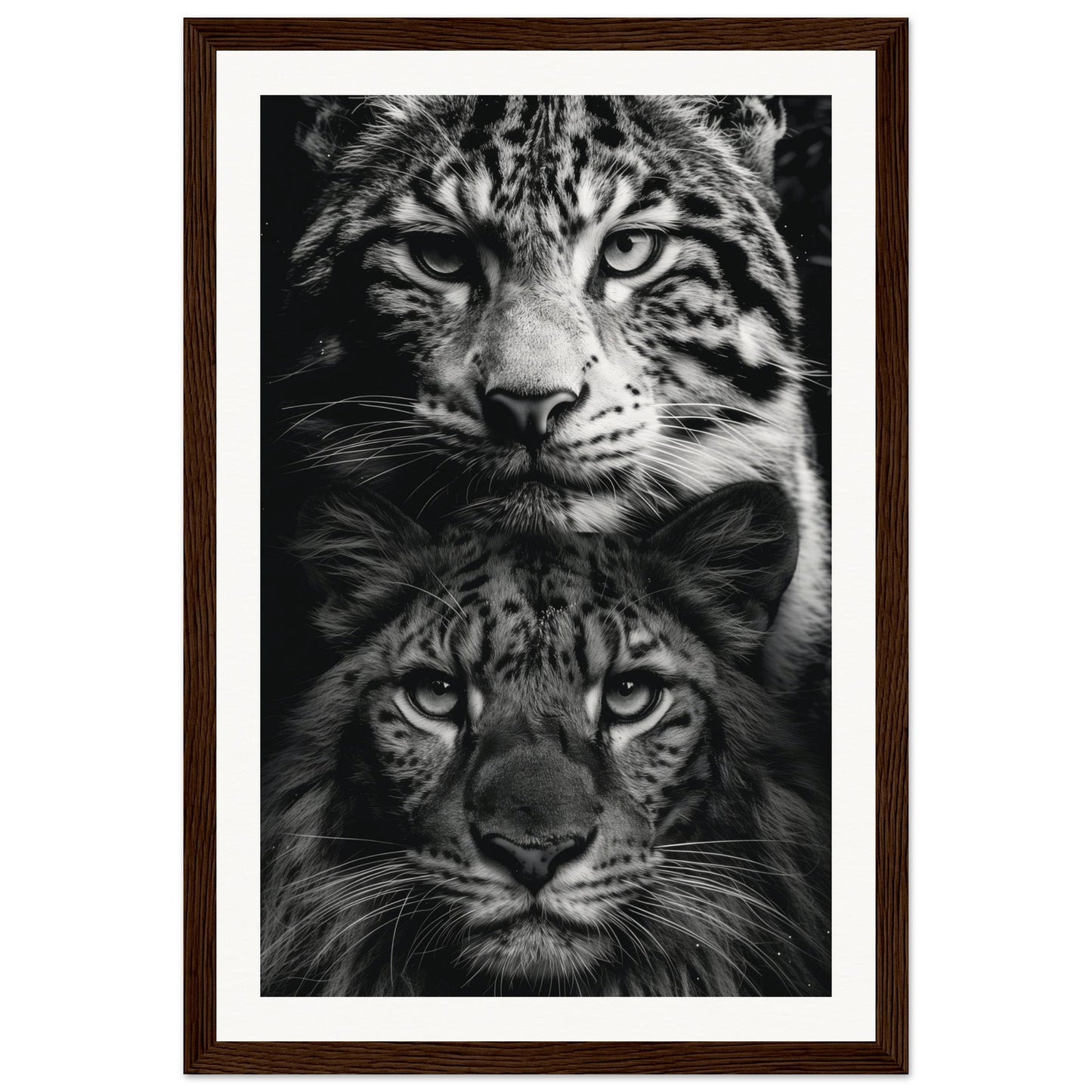 Poster Noir et Blanc Animaux ( 30x45-cm-Bois-foncé)