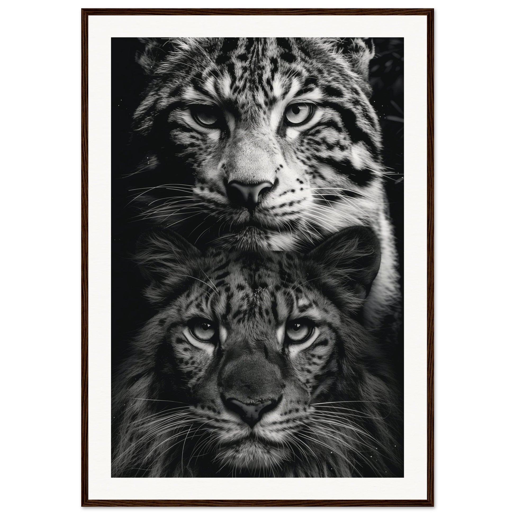 Poster Noir et Blanc Animaux ( 70x100-cm-Bois-foncé)