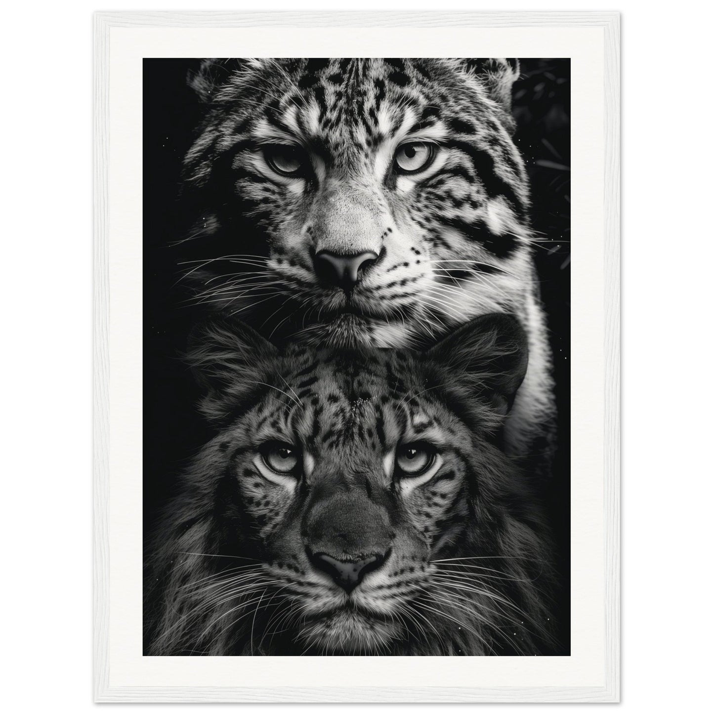 Poster Noir et Blanc Animaux ( 45x60-cm-Bois-blanc)