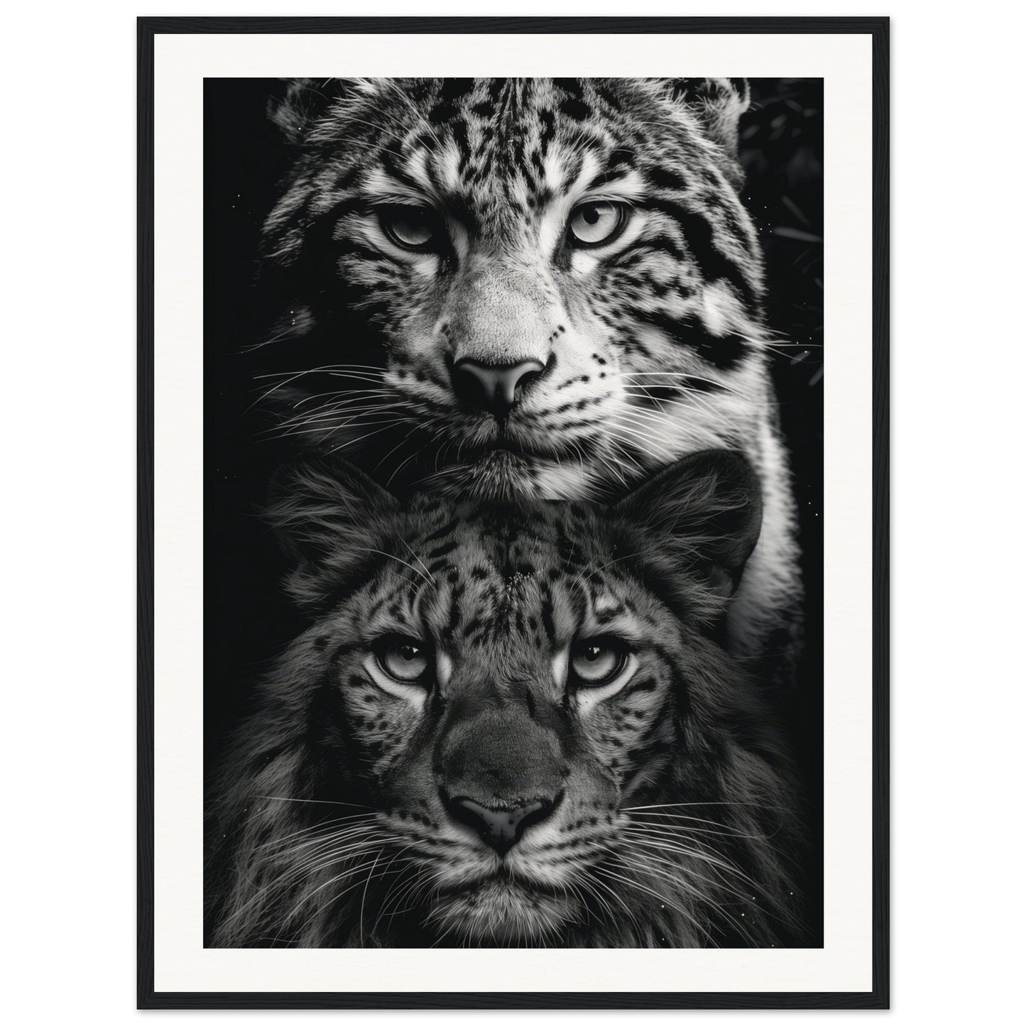 Poster Noir et Blanc Animaux ( 60x80-cm-Bois-noir)