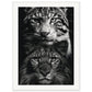 Poster Noir et Blanc Animaux ( 60x80-cm-Bois-blanc)