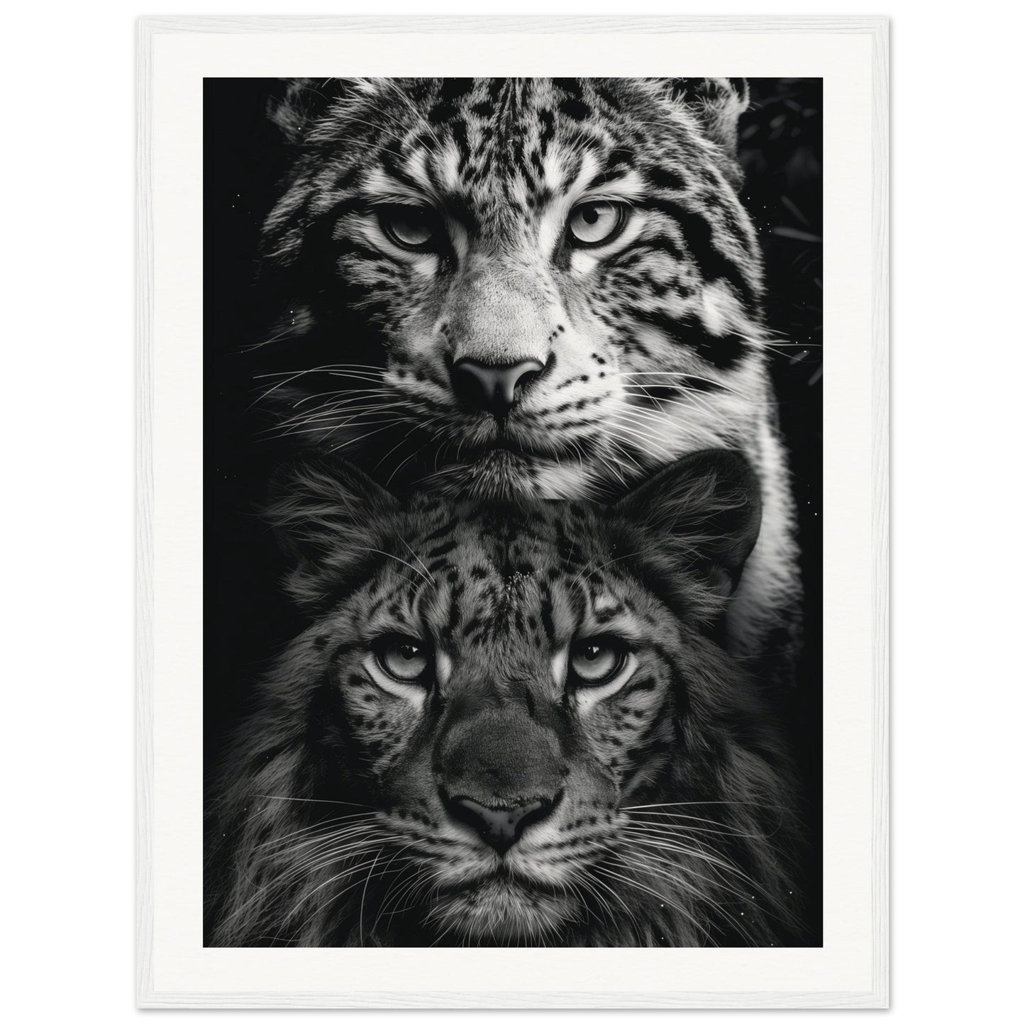 Poster Noir et Blanc Animaux ( 60x80-cm-Bois-blanc)