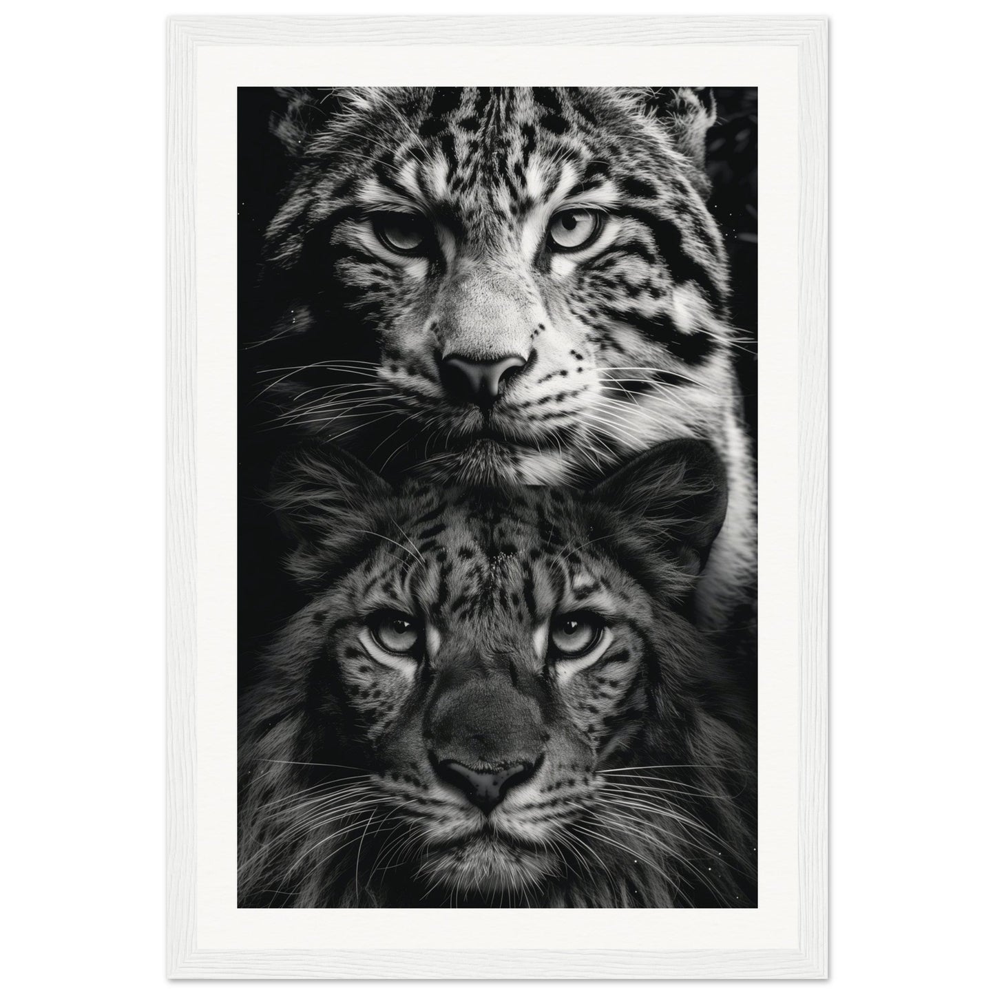 Poster Noir et Blanc Animaux ( 30x45-cm-Bois-blanc)