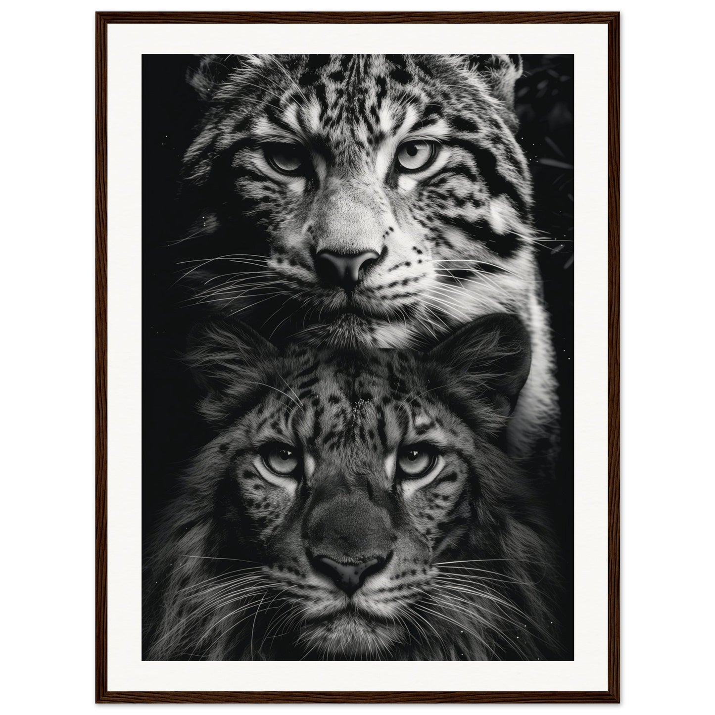 Poster Noir et Blanc Animaux ( 60x80-cm-Bois-foncé)