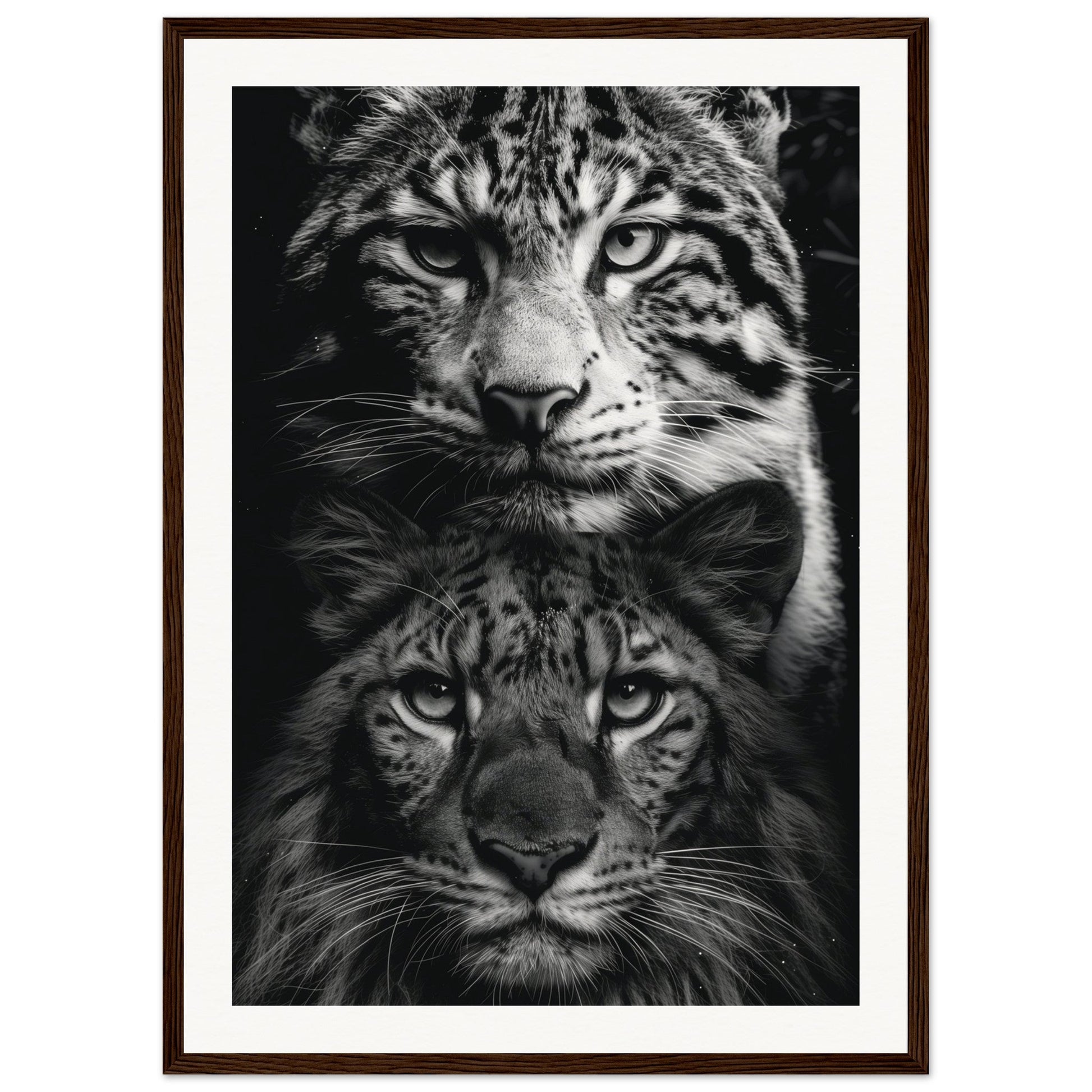 Poster Noir et Blanc Animaux ( 50x70-cm-Bois-foncé)