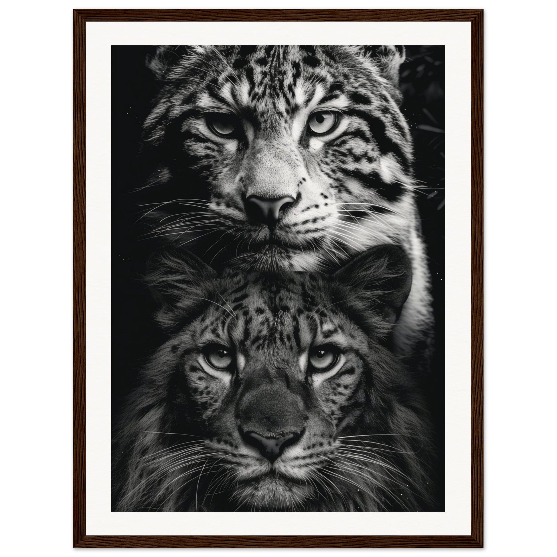 Poster Noir et Blanc Animaux ( 45x60-cm-Bois-foncé)