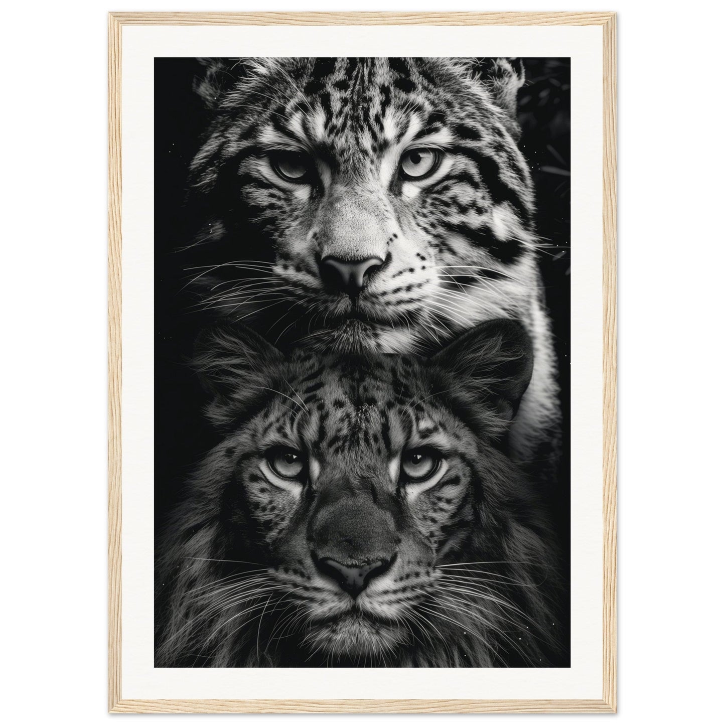 Poster Noir et Blanc Animaux ( 50x70-cm-Bois-clair)