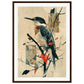 Poster Oiseau ( 50x70-cm-Bois-foncé)