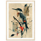 Poster Oiseau ( 50x70-cm-Bois-clair)