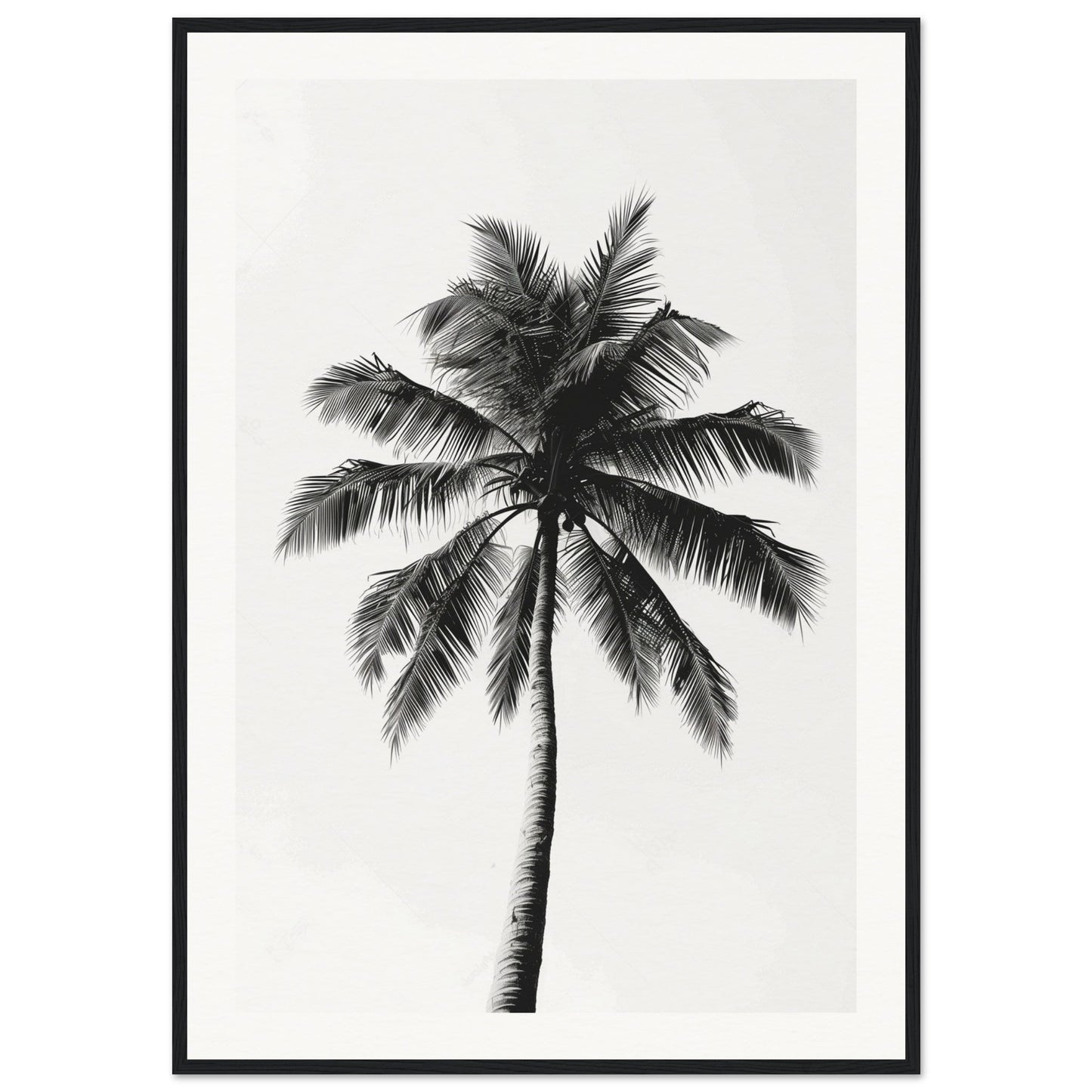 Poster Palmier Noir et Blanc ( 70x100-cm-Bois-noir)