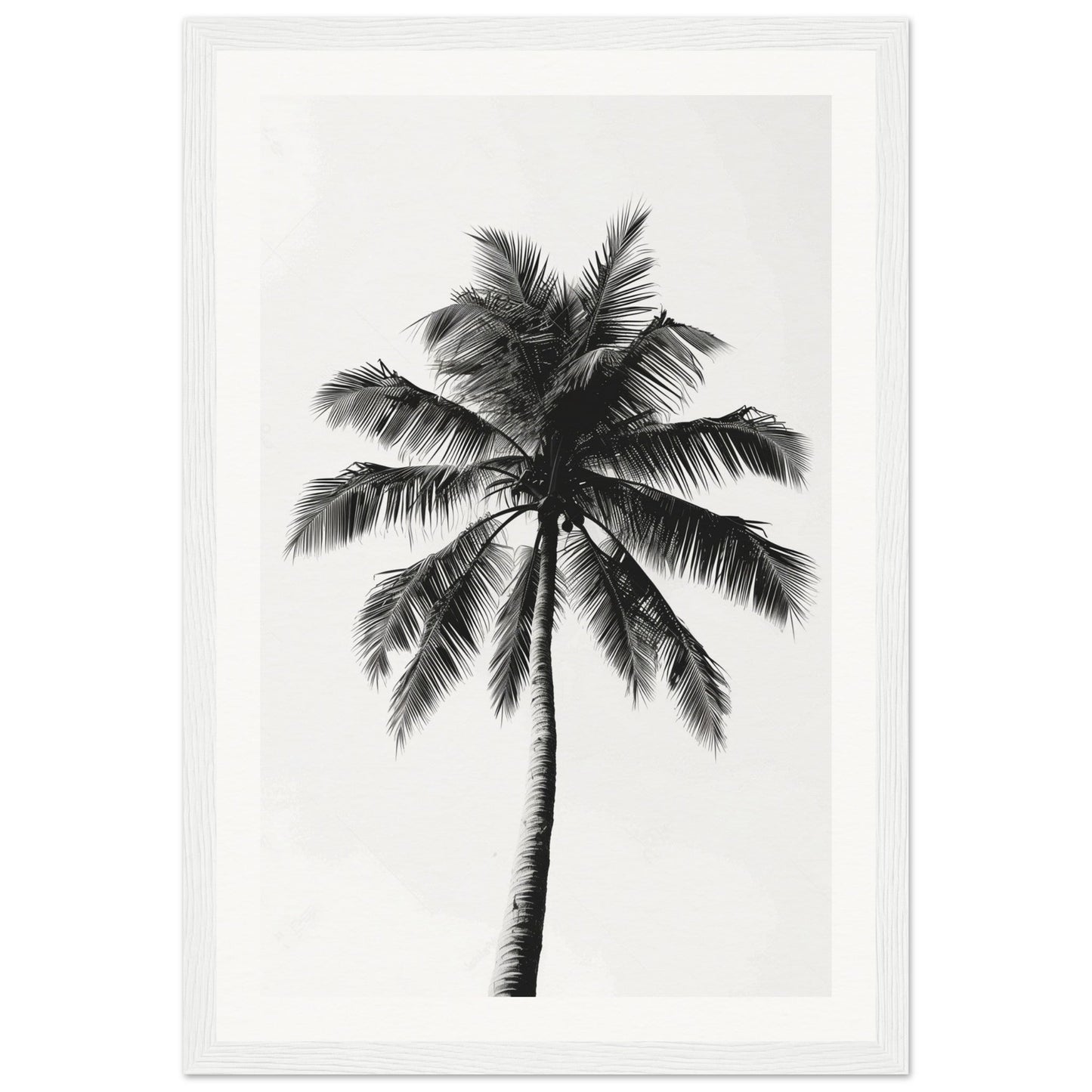 Poster Palmier Noir et Blanc ( 30x45-cm-Bois-blanc)