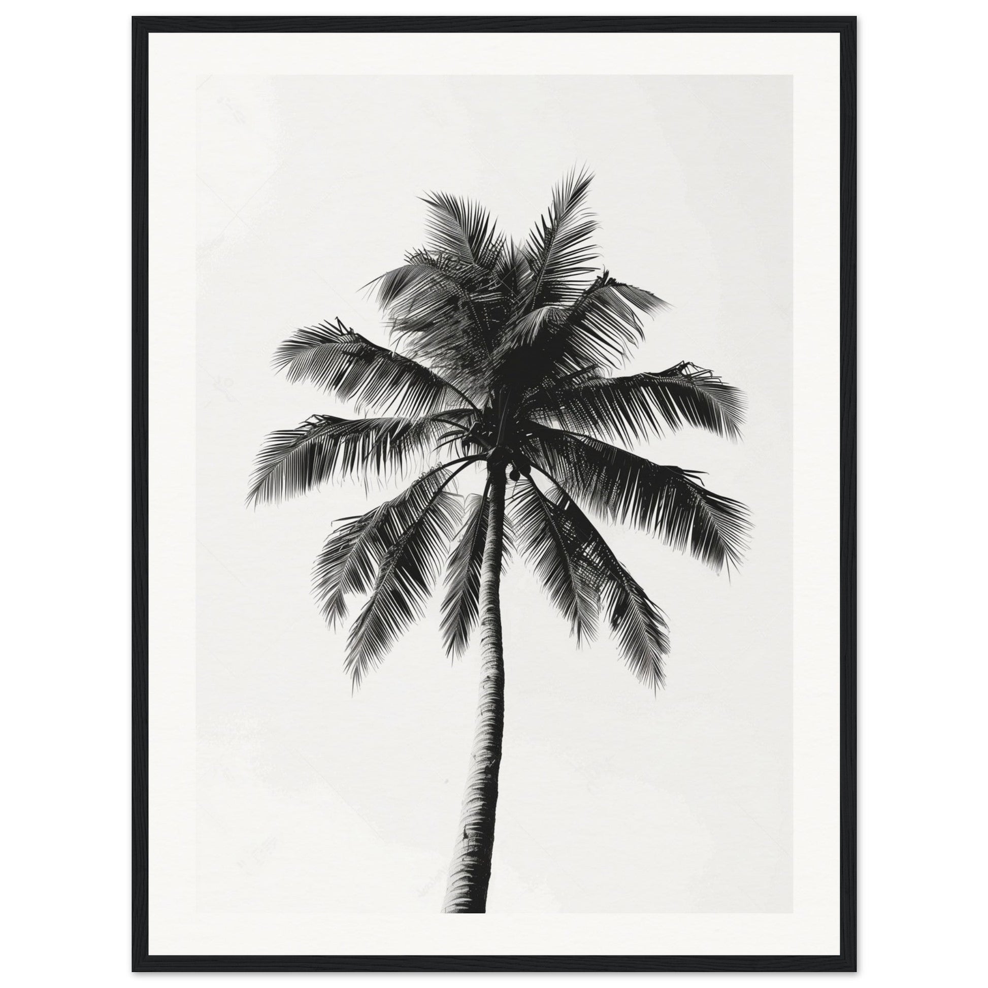 Poster Palmier Noir et Blanc ( 60x80-cm-Bois-noir)