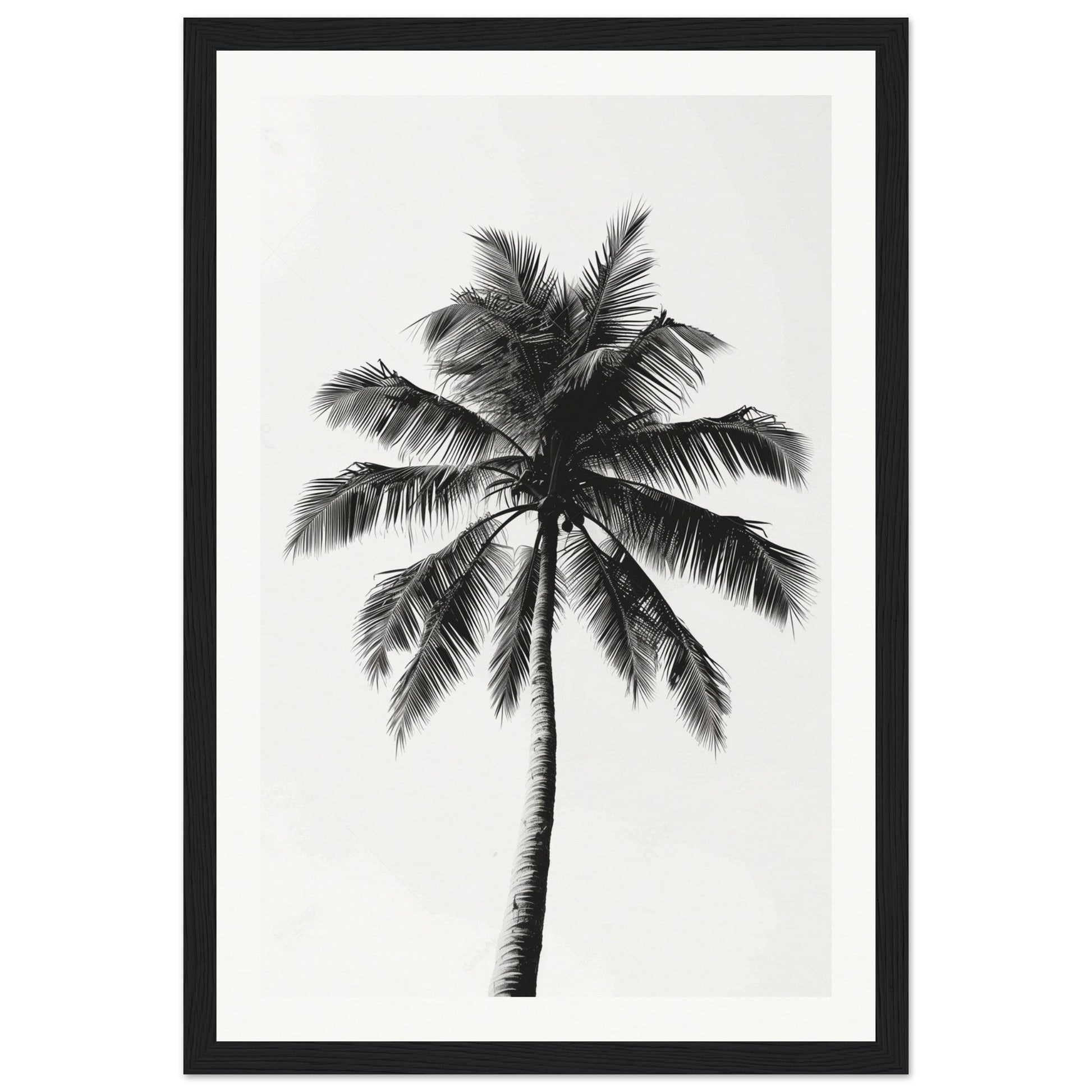 Poster Palmier Noir et Blanc ( 30x45-cm-Bois-noir)