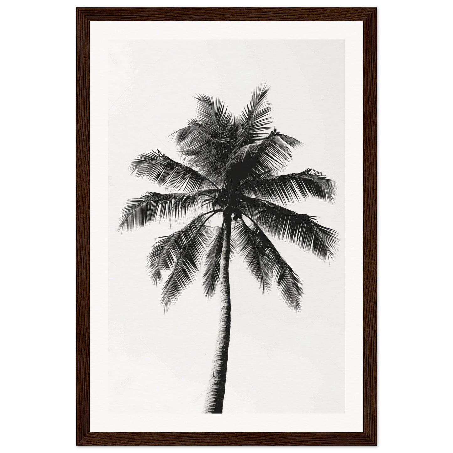 Poster Palmier Noir et Blanc ( 30x45-cm-Bois-foncé)