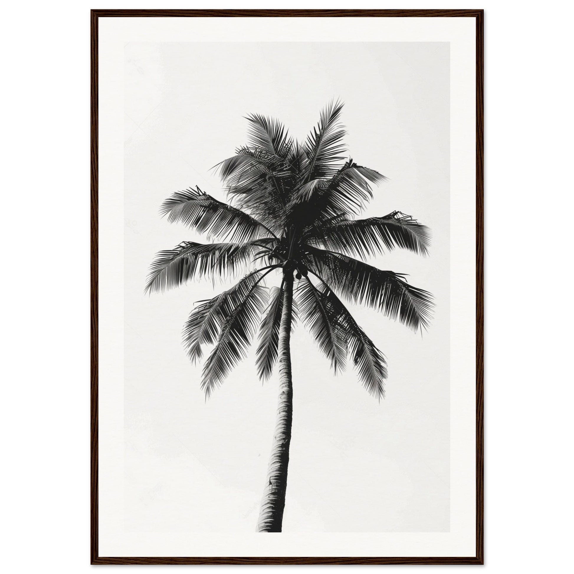 Poster Palmier Noir et Blanc ( 70x100-cm-Bois-foncé)