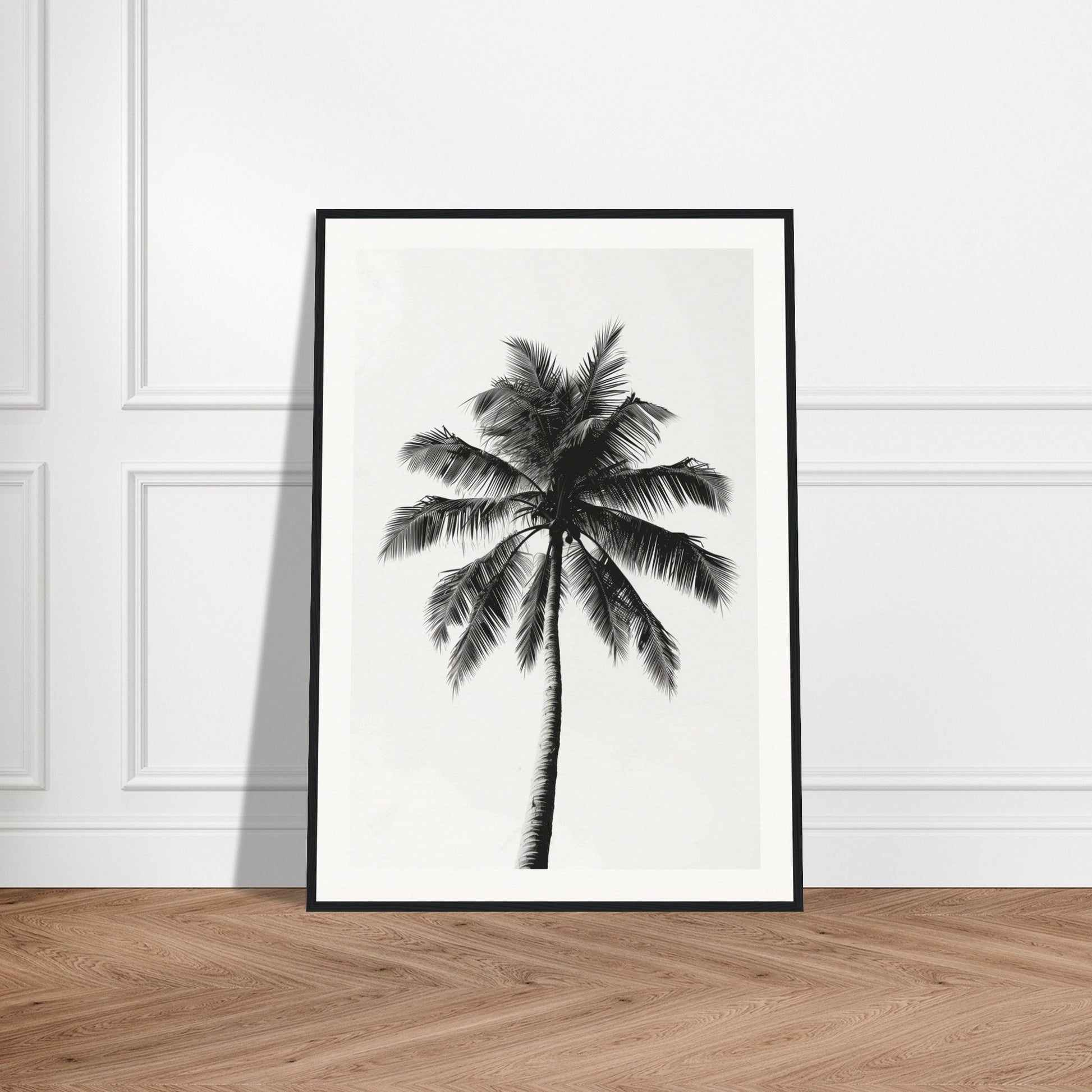 Poster Palmier Noir et Blanc ( )