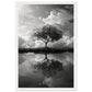 Poster Paysage Noir et Blanc ( 30x45-cm-Bois-blanc)