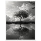 Poster Paysage Noir et Blanc ( 60x80-cm-Bois-blanc)