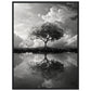 Poster Paysage Noir et Blanc ( 60x80-cm-Bois-noir)