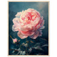 Poster Pivoine Rose ( 60x80-cm-Bois-clair)