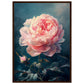 Poster Pivoine Rose ( 50x70-cm-Bois-foncé)