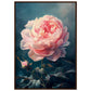 Poster Pivoine Rose ( 70x100-cm-Bois-foncé)